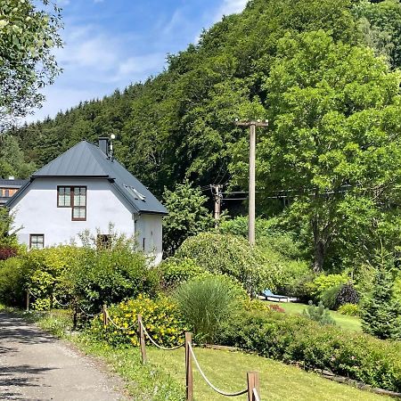 Vila Aja Svoboda nad Úpou Extérieur photo