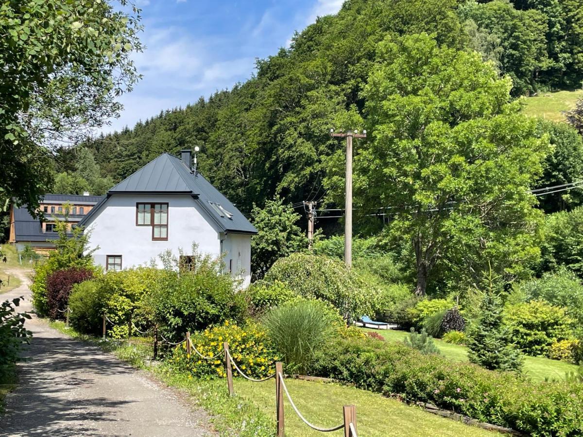 Vila Aja Svoboda nad Úpou Extérieur photo